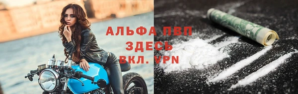 ПСИЛОЦИБИНОВЫЕ ГРИБЫ Касимов