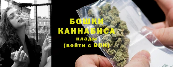 ПСИЛОЦИБИНОВЫЕ ГРИБЫ Касимов