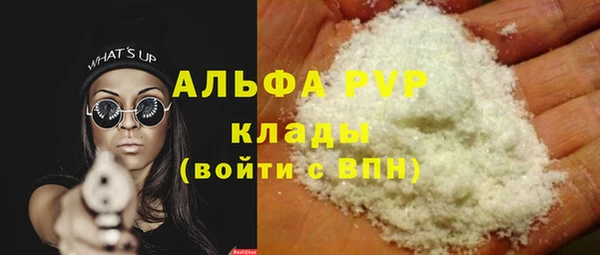 ПСИЛОЦИБИНОВЫЕ ГРИБЫ Касимов