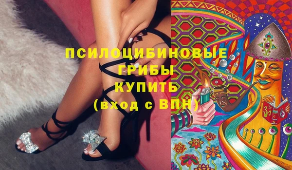 ПСИЛОЦИБИНОВЫЕ ГРИБЫ Касимов