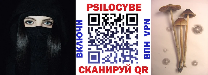 Галлюциногенные грибы Cubensis  Купить где  Буинск 